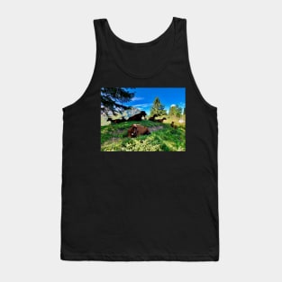 Goats on the mountain Tank Top